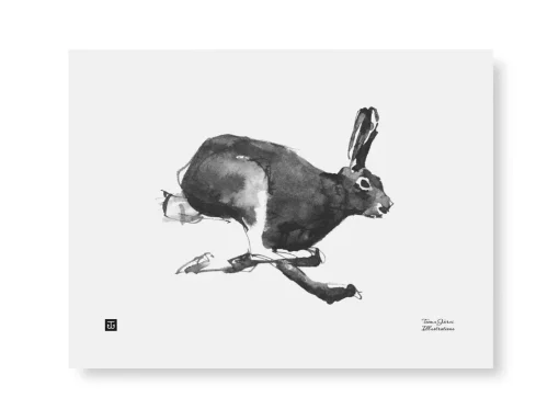 Jänis - juliste