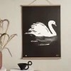 Joutsen - juliste (50 x 70cm)