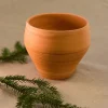 Kukkaruukku nr. 6
