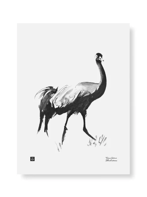 Kurki - juliste (30 x 40cm)