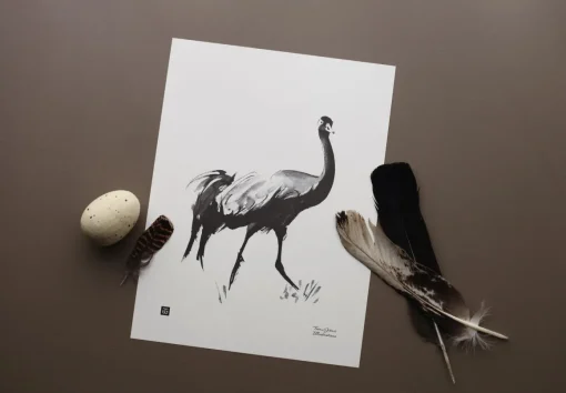 Kurki - juliste (30 x 40cm)
