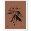 Saarni - juliste 30x40cm