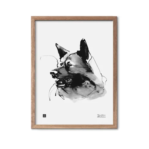 Tutkimusretkeilijä - juliste (30 x 40cm)
